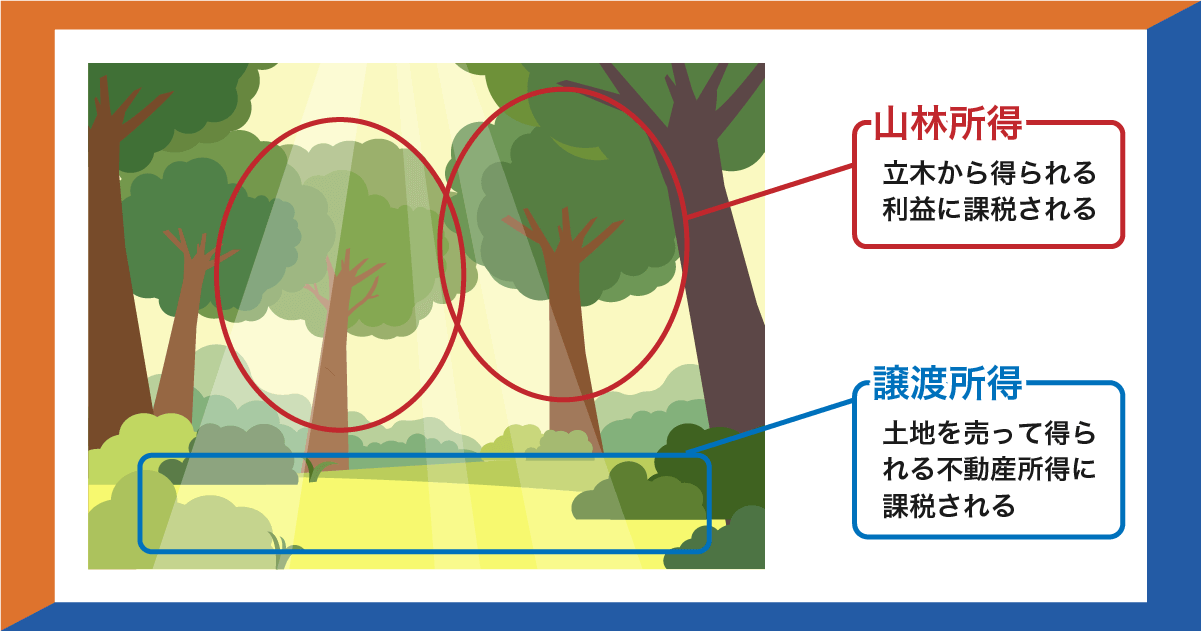 山林所得と譲渡所得に関する説明図